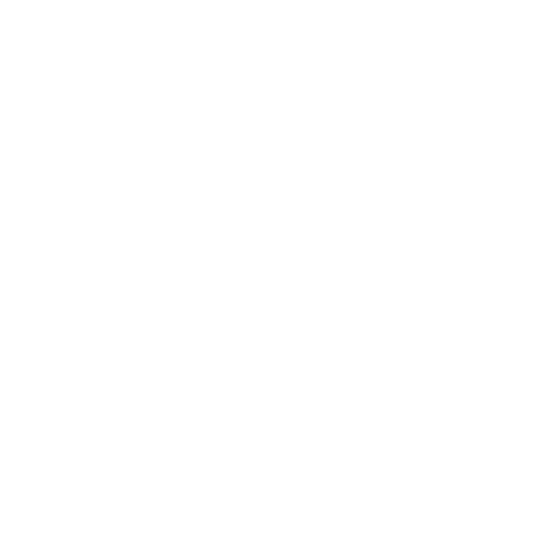 Bronze – Spotlight