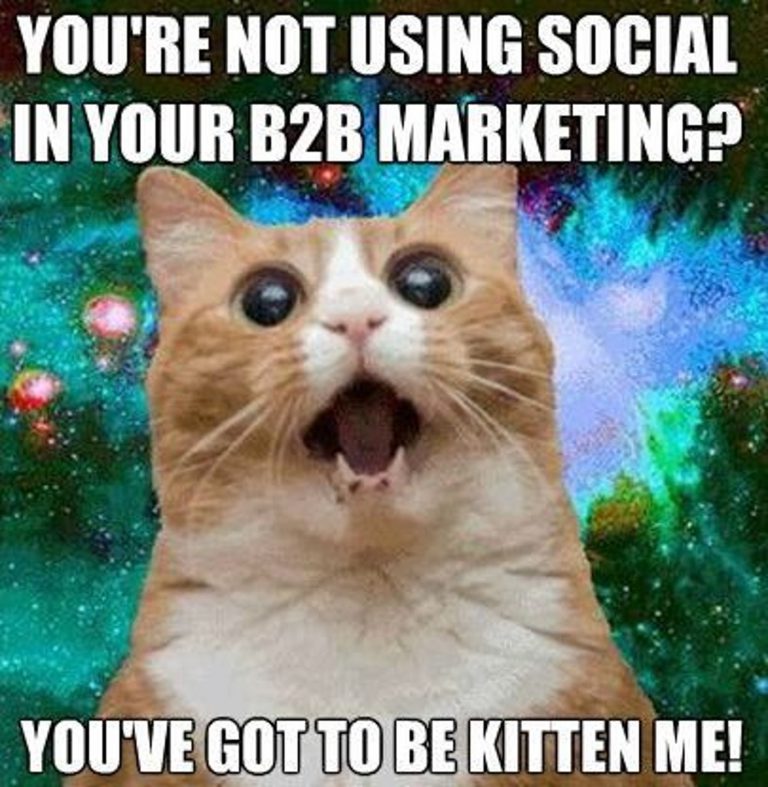 B2B & Social Media Marketing